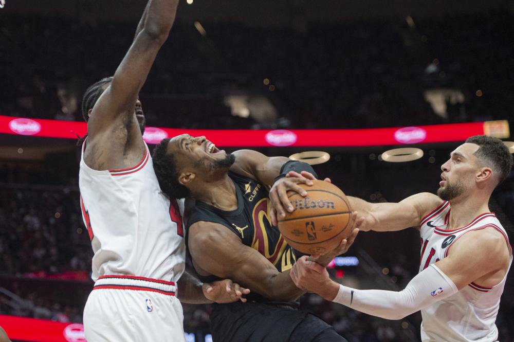 可能因为多 可能因为多